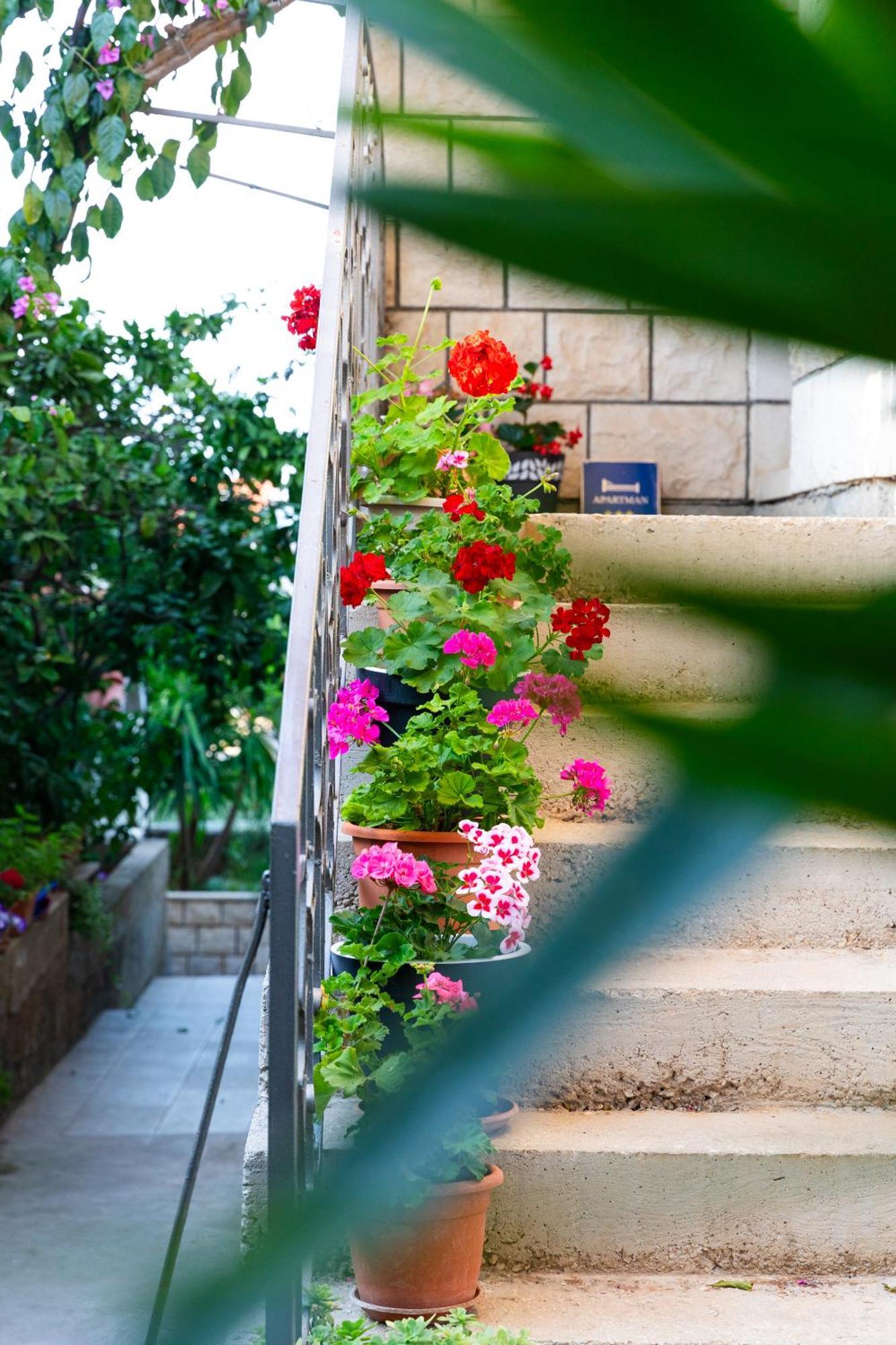 Apartments Martic سوبيتار المظهر الخارجي الصورة