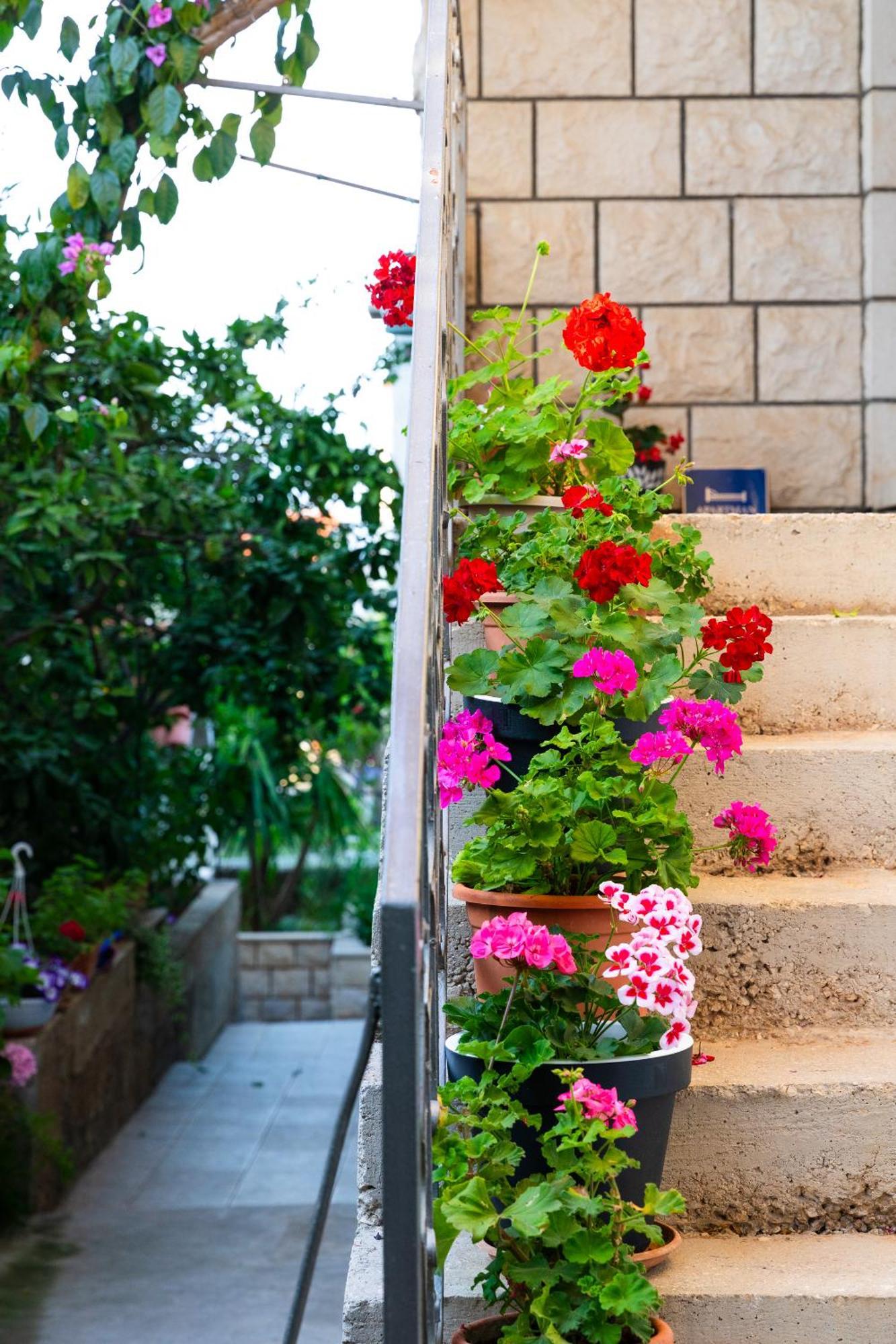 Apartments Martic سوبيتار المظهر الخارجي الصورة